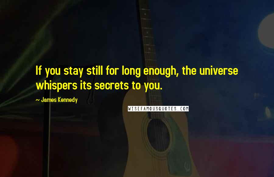 James Kennedy Quotes: If you stay still for long enough, the universe whispers its secrets to you.