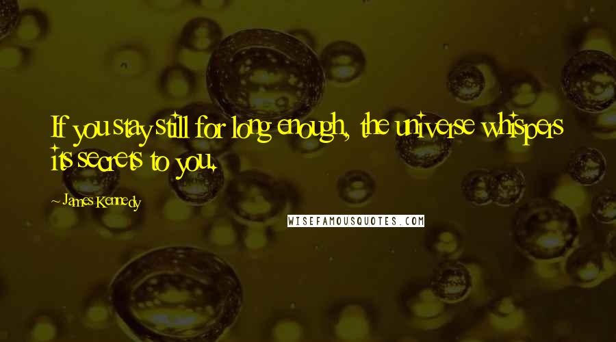 James Kennedy Quotes: If you stay still for long enough, the universe whispers its secrets to you.