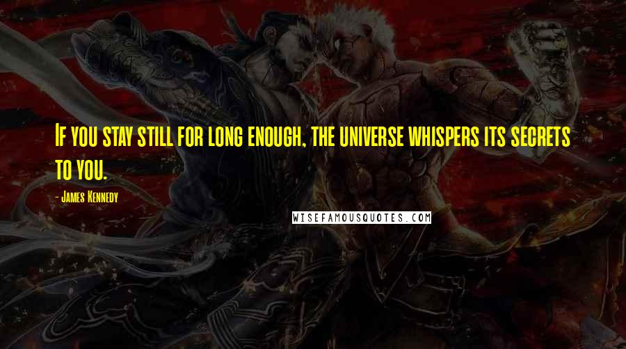 James Kennedy Quotes: If you stay still for long enough, the universe whispers its secrets to you.