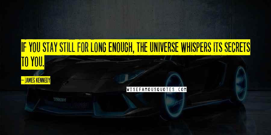 James Kennedy Quotes: If you stay still for long enough, the universe whispers its secrets to you.