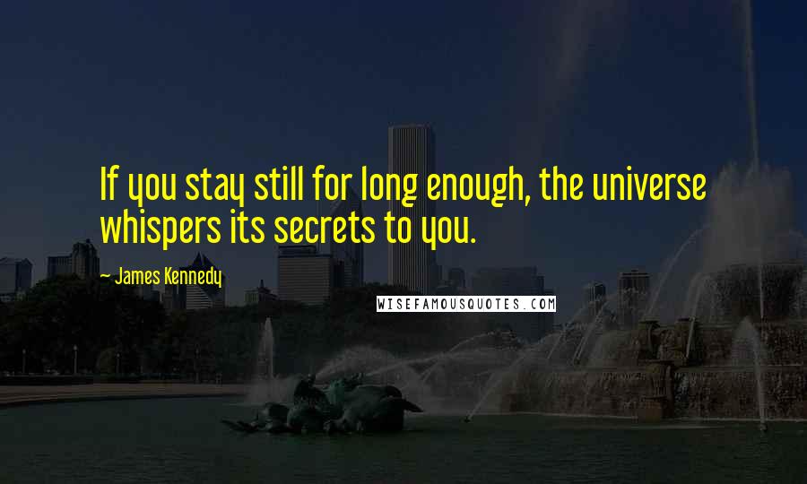 James Kennedy Quotes: If you stay still for long enough, the universe whispers its secrets to you.