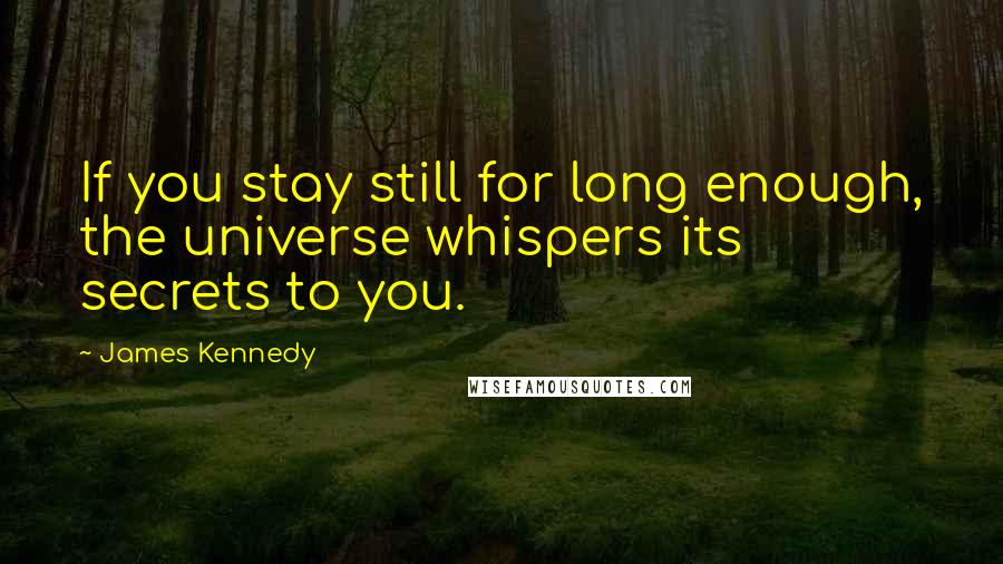 James Kennedy Quotes: If you stay still for long enough, the universe whispers its secrets to you.