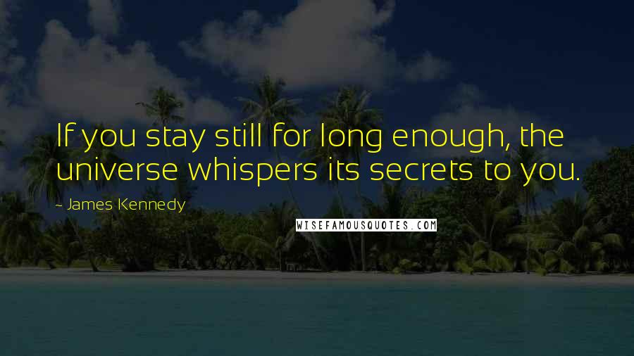 James Kennedy Quotes: If you stay still for long enough, the universe whispers its secrets to you.