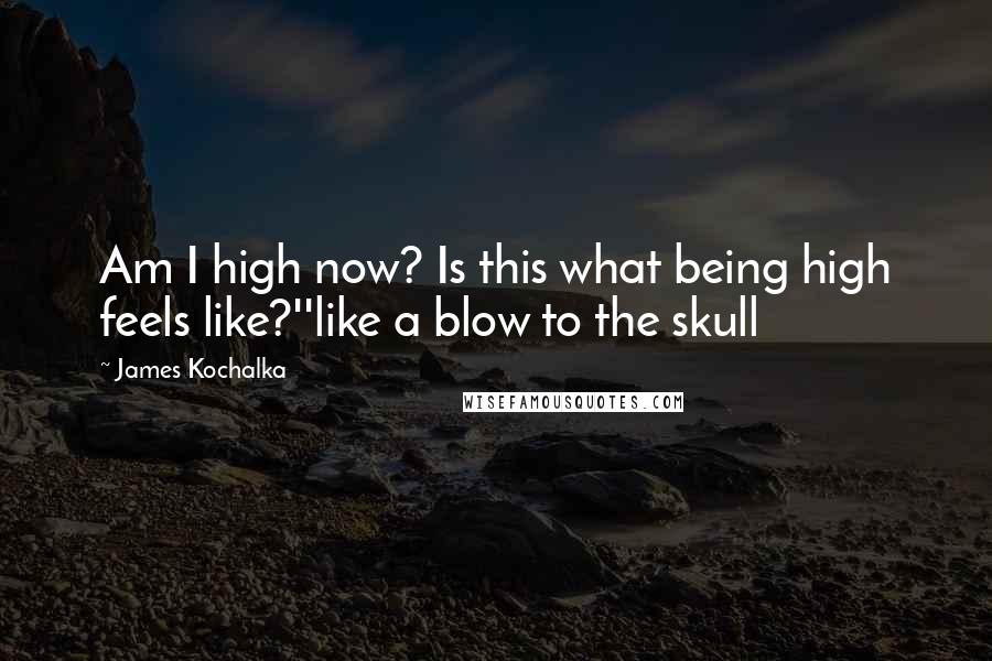 James Kochalka Quotes: Am I high now? Is this what being high feels like?''like a blow to the skull