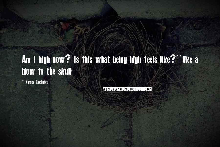 James Kochalka Quotes: Am I high now? Is this what being high feels like?''like a blow to the skull