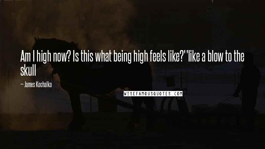 James Kochalka Quotes: Am I high now? Is this what being high feels like?''like a blow to the skull