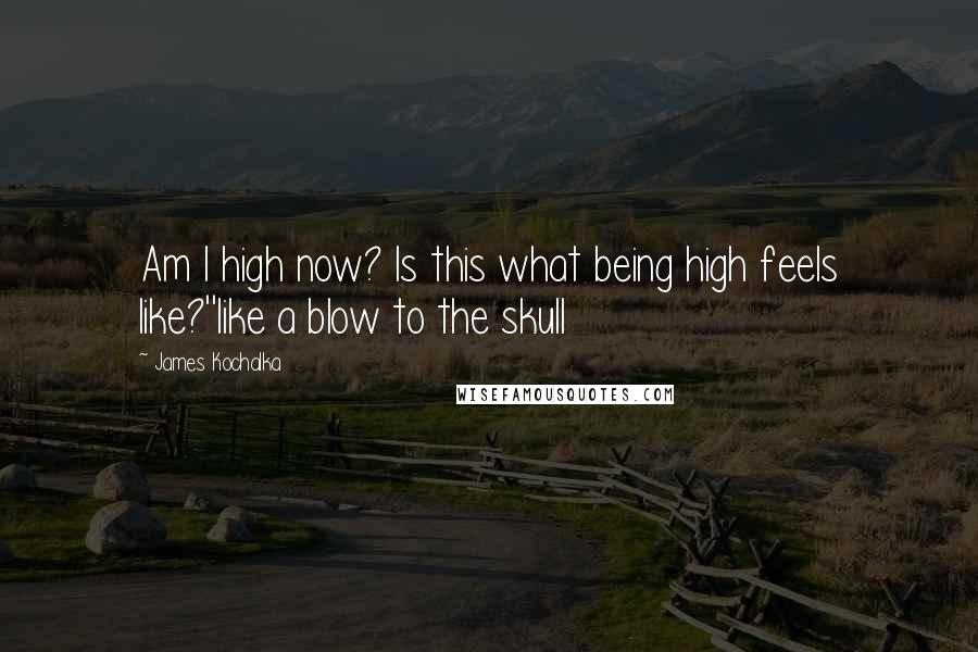 James Kochalka Quotes: Am I high now? Is this what being high feels like?''like a blow to the skull