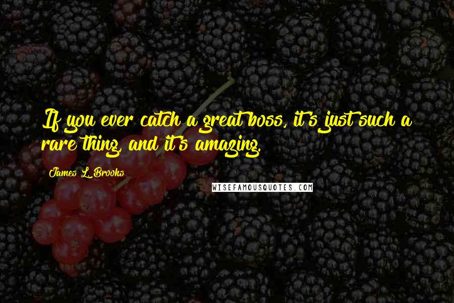 James L. Brooks Quotes: If you ever catch a great boss, it's just such a rare thing, and it's amazing.