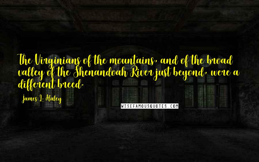 James L. Haley Quotes: The Virginians of the mountains, and of the broad valley of the Shenandoah River just beyond, were a different breed.