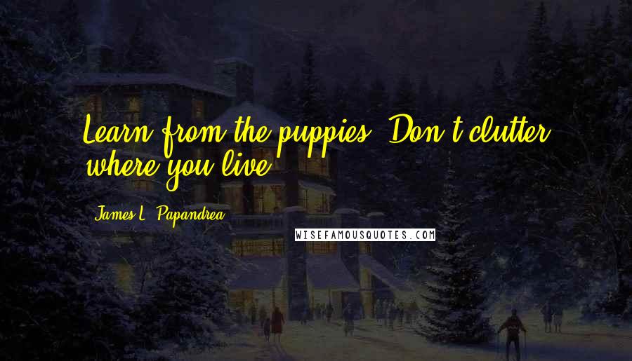 James L. Papandrea Quotes: Learn from the puppies: Don't clutter where you live.