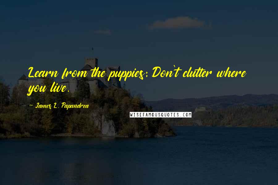 James L. Papandrea Quotes: Learn from the puppies: Don't clutter where you live.