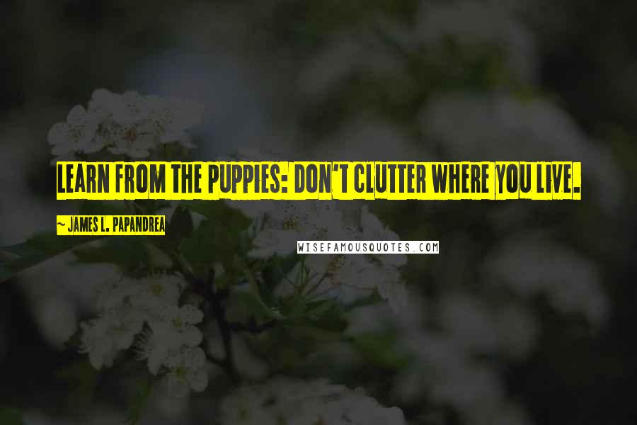 James L. Papandrea Quotes: Learn from the puppies: Don't clutter where you live.