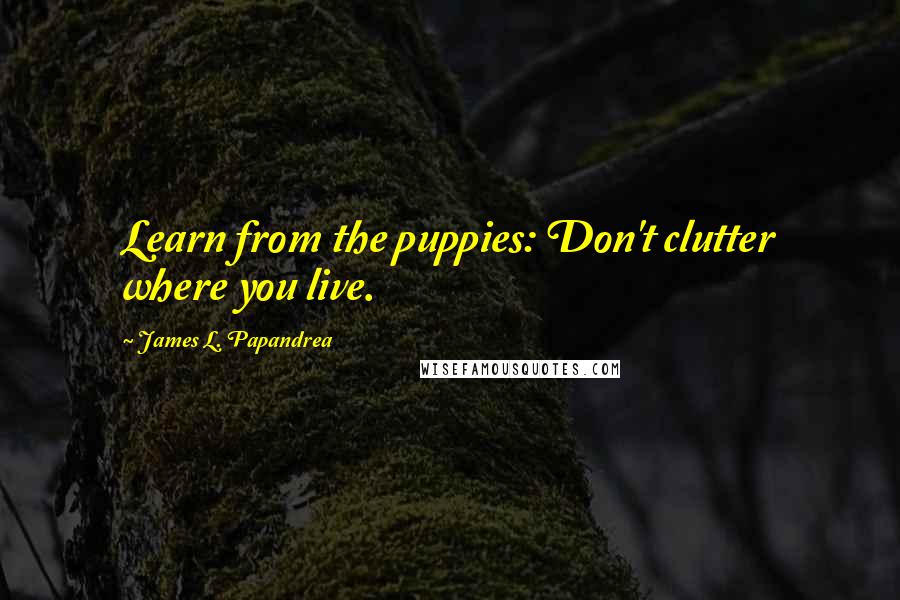 James L. Papandrea Quotes: Learn from the puppies: Don't clutter where you live.