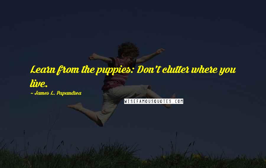 James L. Papandrea Quotes: Learn from the puppies: Don't clutter where you live.