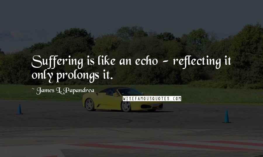 James L. Papandrea Quotes: Suffering is like an echo - reflecting it only prolongs it.