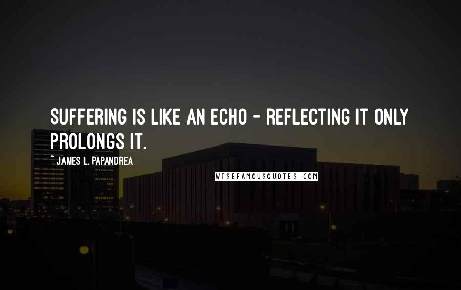James L. Papandrea Quotes: Suffering is like an echo - reflecting it only prolongs it.