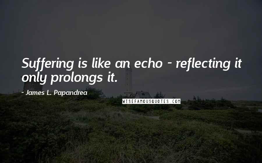 James L. Papandrea Quotes: Suffering is like an echo - reflecting it only prolongs it.