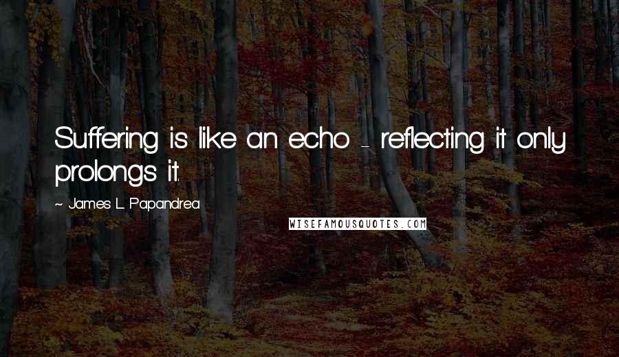 James L. Papandrea Quotes: Suffering is like an echo - reflecting it only prolongs it.