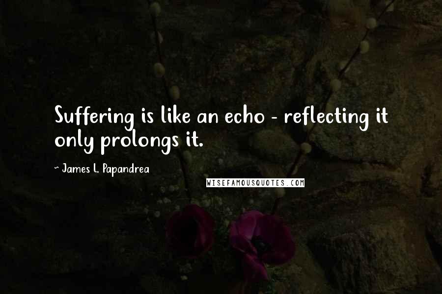 James L. Papandrea Quotes: Suffering is like an echo - reflecting it only prolongs it.