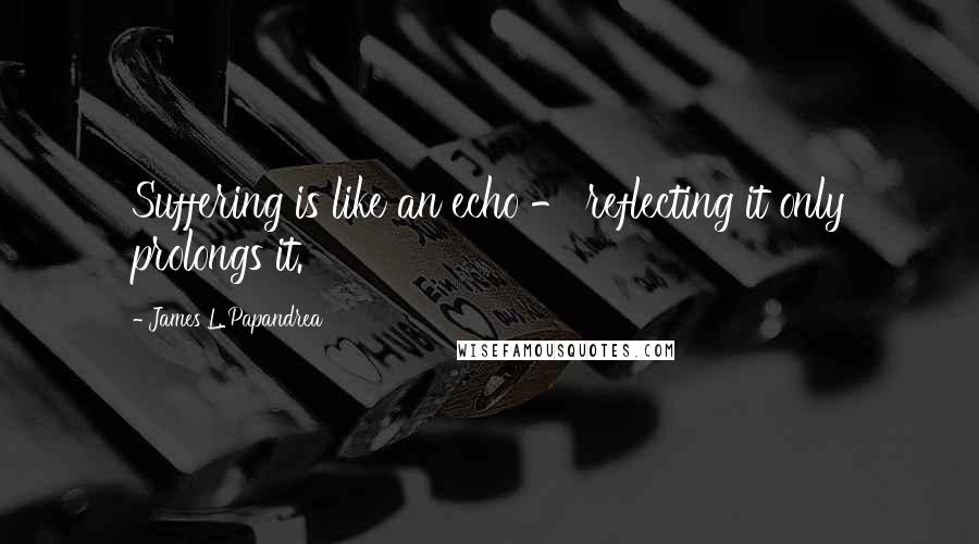 James L. Papandrea Quotes: Suffering is like an echo - reflecting it only prolongs it.