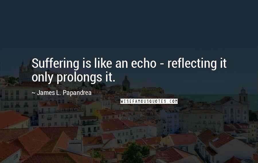 James L. Papandrea Quotes: Suffering is like an echo - reflecting it only prolongs it.