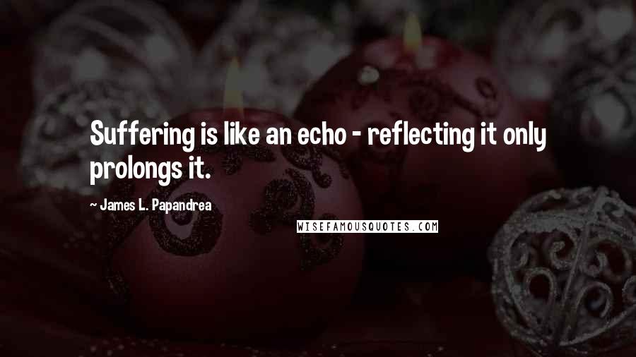 James L. Papandrea Quotes: Suffering is like an echo - reflecting it only prolongs it.