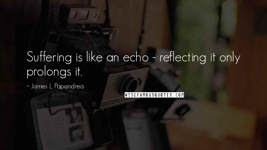 James L. Papandrea Quotes: Suffering is like an echo - reflecting it only prolongs it.