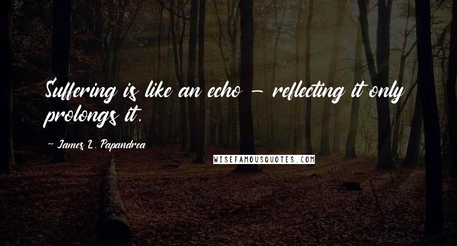 James L. Papandrea Quotes: Suffering is like an echo - reflecting it only prolongs it.