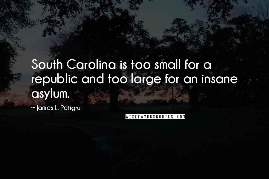 James L. Petigru Quotes: South Carolina is too small for a republic and too large for an insane asylum.