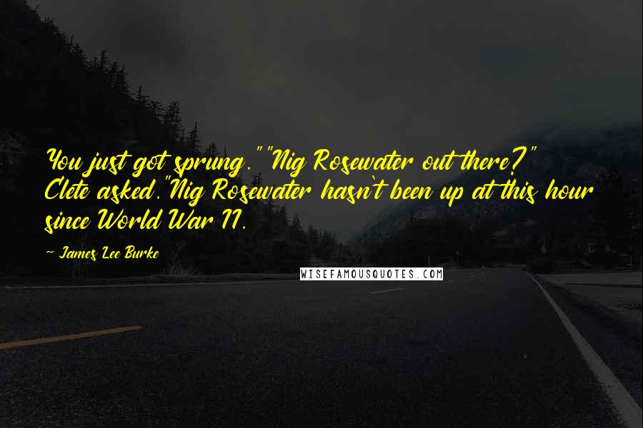 James Lee Burke Quotes: You just got sprung.""Nig Rosewater out there?" Clete asked."Nig Rosewater hasn't been up at this hour since World War II.