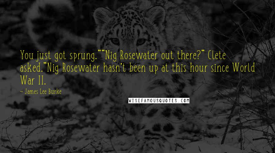 James Lee Burke Quotes: You just got sprung.""Nig Rosewater out there?" Clete asked."Nig Rosewater hasn't been up at this hour since World War II.