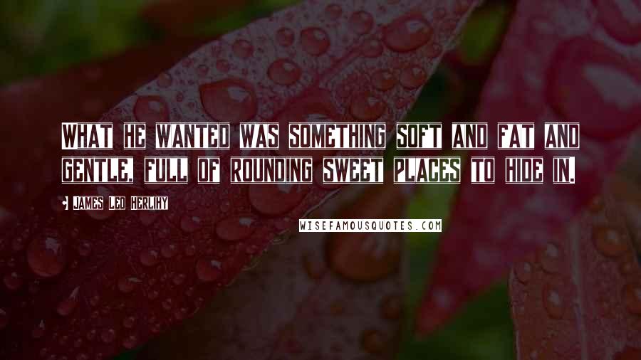 James Leo Herlihy Quotes: What he wanted was something soft and fat and gentle, full of rounding sweet places to hide in.