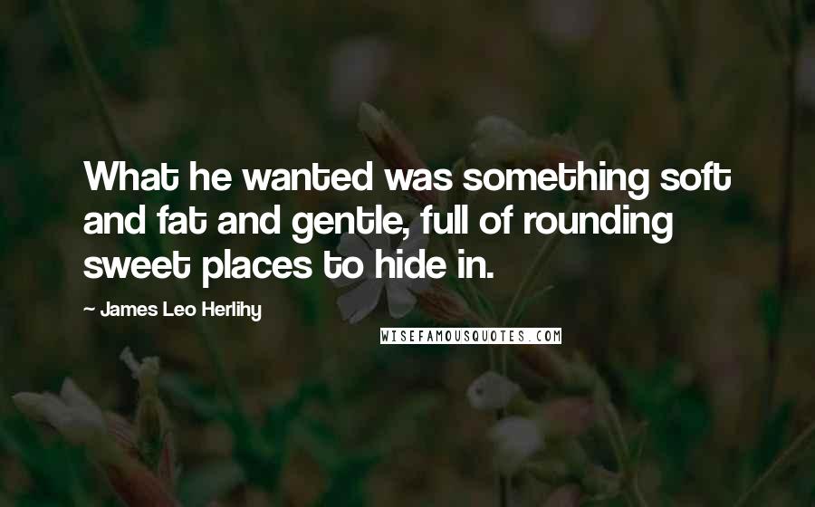 James Leo Herlihy Quotes: What he wanted was something soft and fat and gentle, full of rounding sweet places to hide in.