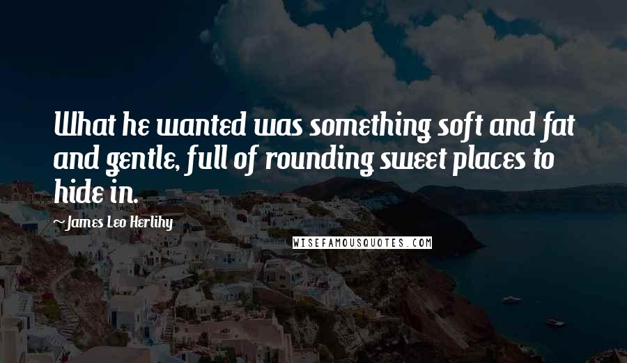 James Leo Herlihy Quotes: What he wanted was something soft and fat and gentle, full of rounding sweet places to hide in.