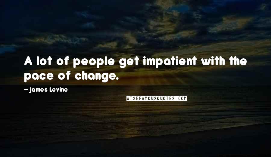 James Levine Quotes: A lot of people get impatient with the pace of change.