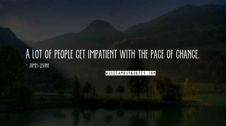 James Levine Quotes: A lot of people get impatient with the pace of change.