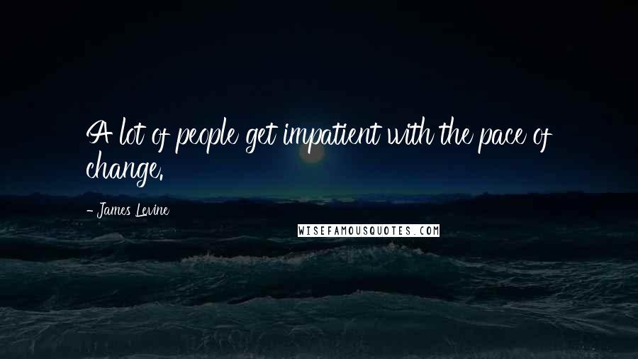 James Levine Quotes: A lot of people get impatient with the pace of change.