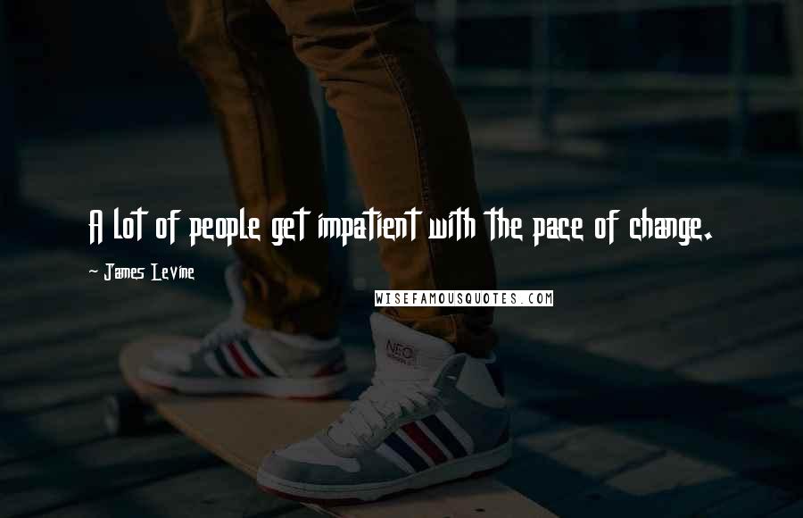 James Levine Quotes: A lot of people get impatient with the pace of change.