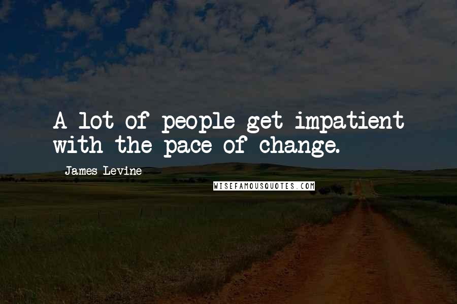 James Levine Quotes: A lot of people get impatient with the pace of change.