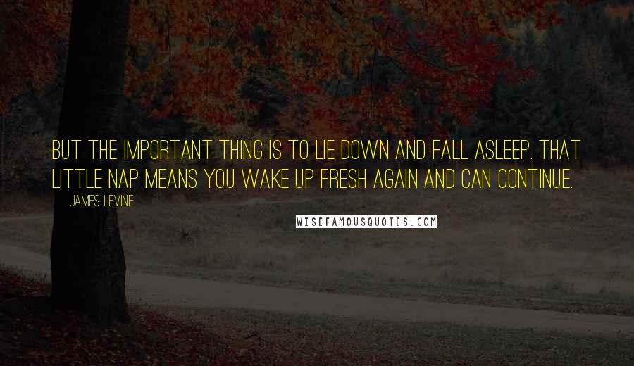 James Levine Quotes: But the important thing is to lie down and fall asleep. That little nap means you wake up fresh again and can continue.