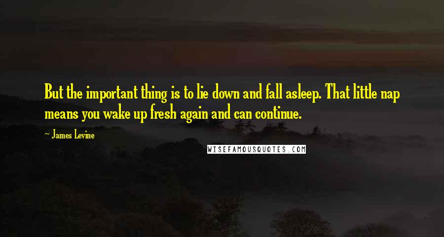 James Levine Quotes: But the important thing is to lie down and fall asleep. That little nap means you wake up fresh again and can continue.