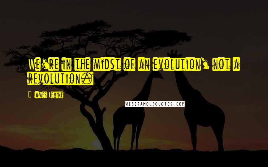 James Levine Quotes: We're in the midst of an evolution, not a revolution.