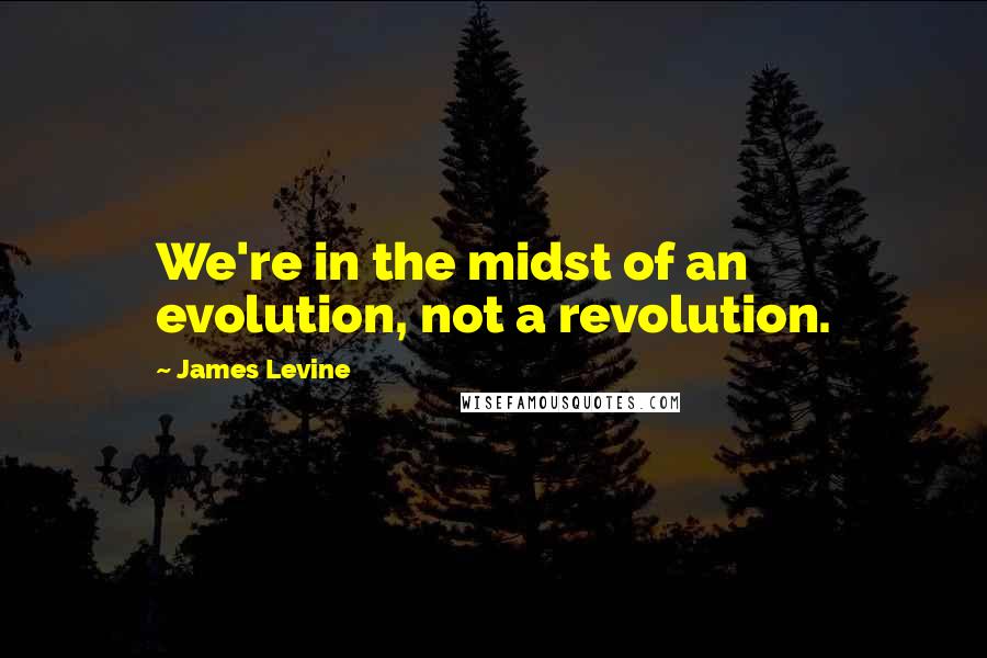 James Levine Quotes: We're in the midst of an evolution, not a revolution.