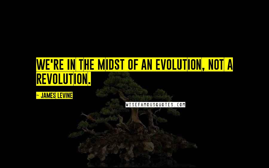 James Levine Quotes: We're in the midst of an evolution, not a revolution.