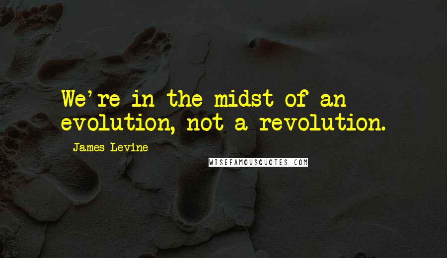 James Levine Quotes: We're in the midst of an evolution, not a revolution.