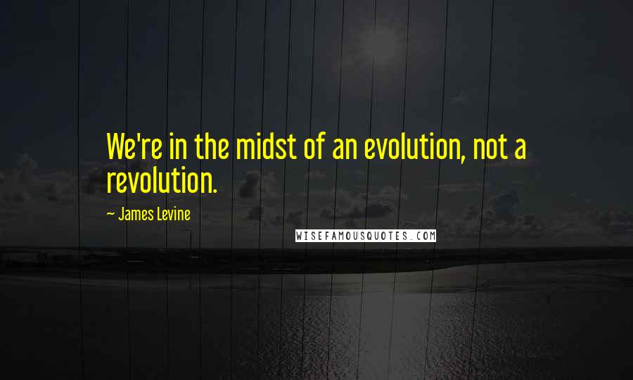 James Levine Quotes: We're in the midst of an evolution, not a revolution.