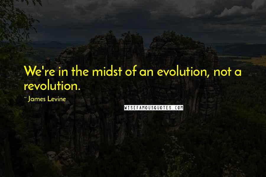 James Levine Quotes: We're in the midst of an evolution, not a revolution.