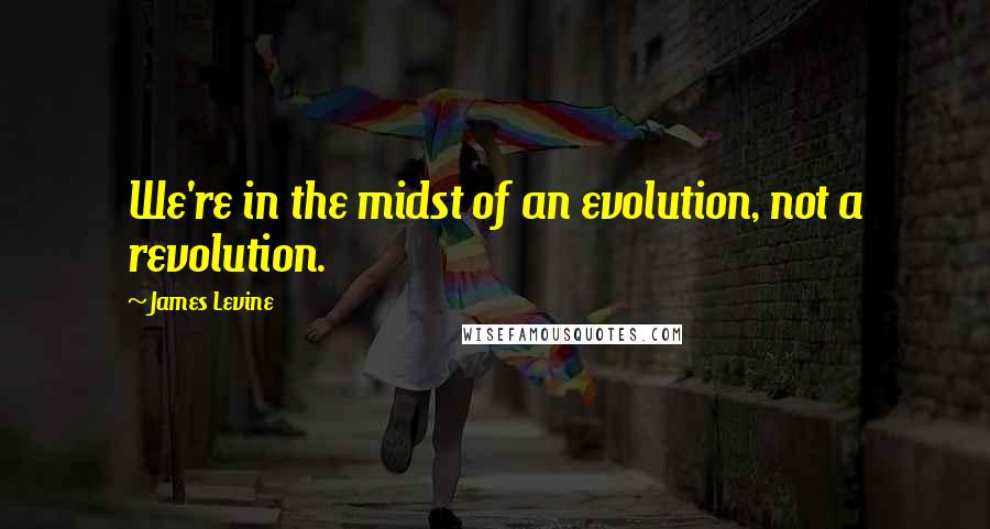 James Levine Quotes: We're in the midst of an evolution, not a revolution.