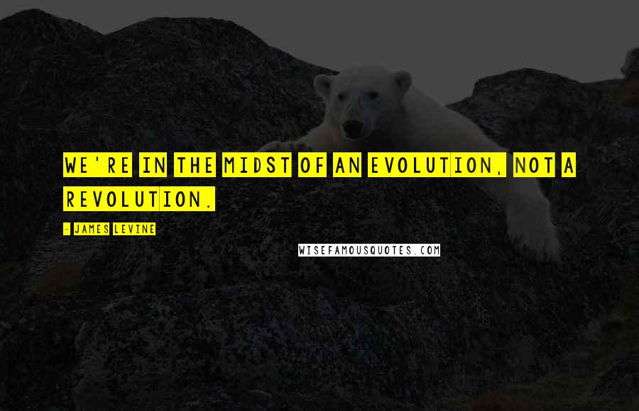 James Levine Quotes: We're in the midst of an evolution, not a revolution.