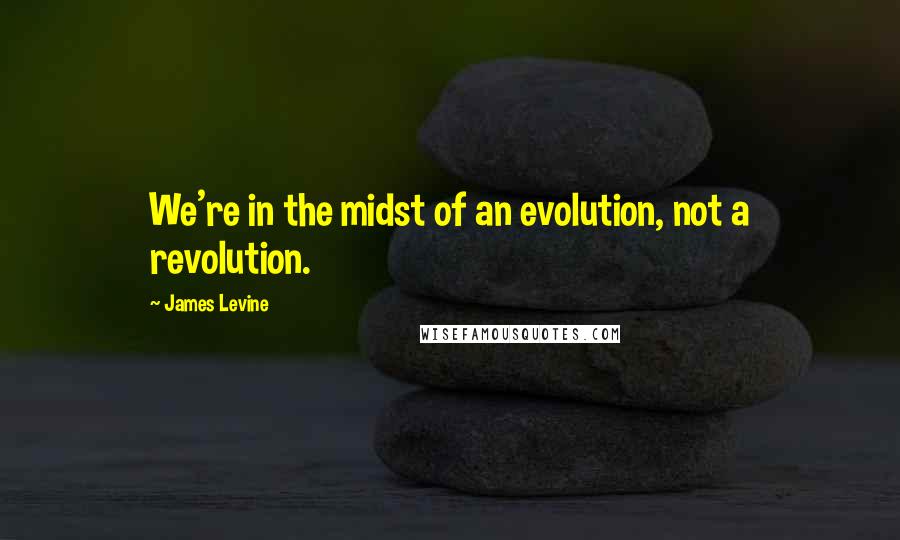 James Levine Quotes: We're in the midst of an evolution, not a revolution.